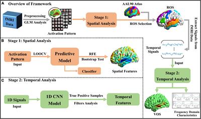 A hybrid learning framework for fine-grained interpretation of brain spatiotemporal patterns during naturalistic functional magnetic resonance imaging